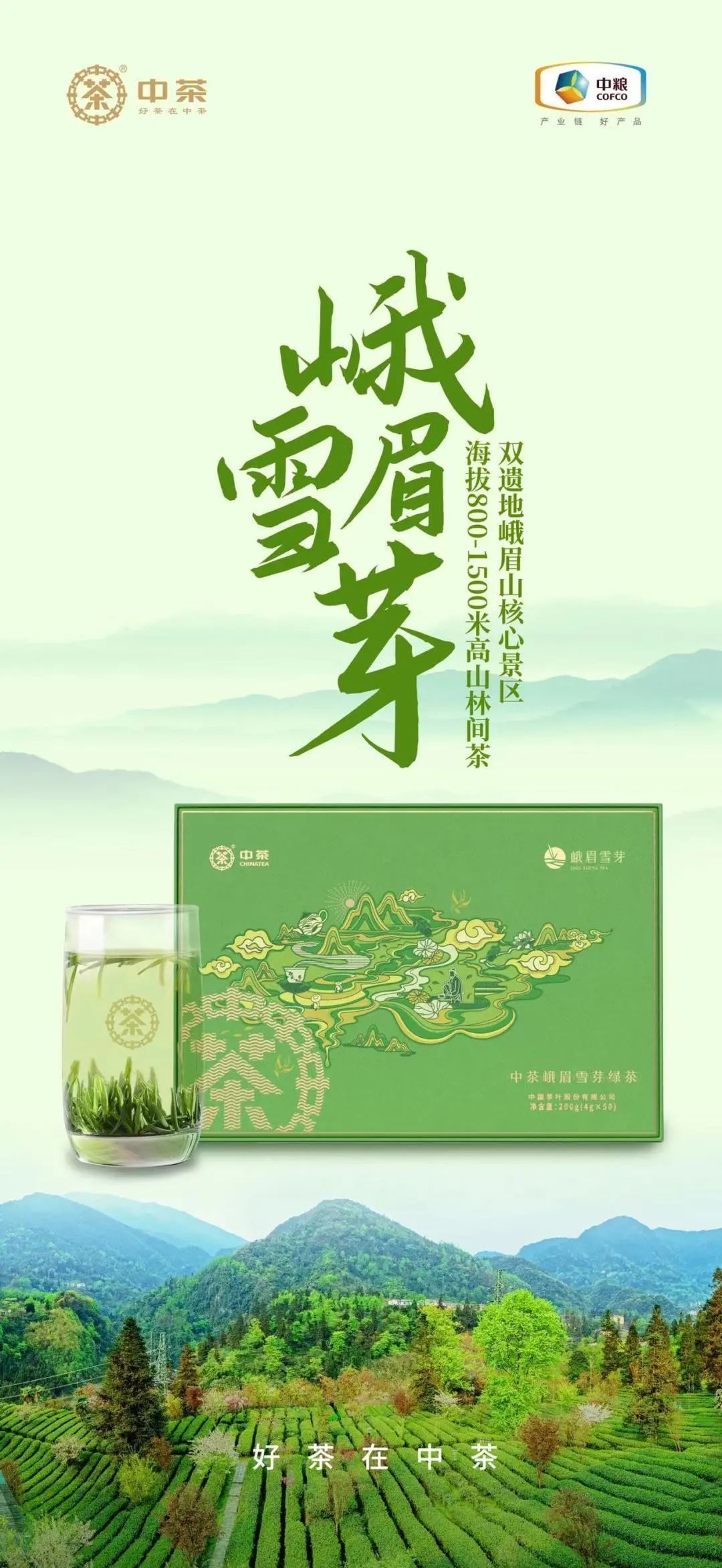中茶绿茶新晋“成员”—峨眉雪芽，给你舌尖上的新享受