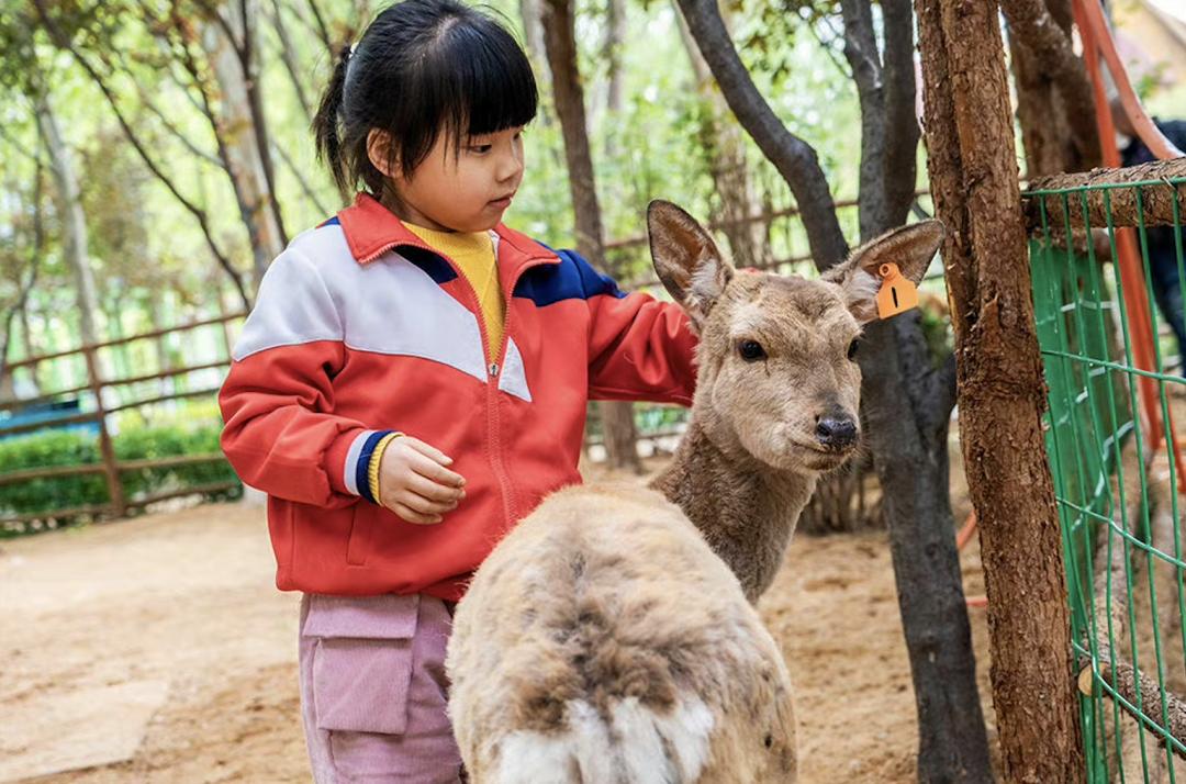 济南遛娃嗨玩这里享优惠,济南遛娃乐园周末