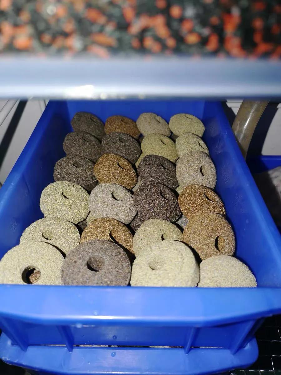 养鱼培养硝化细菌用什么滤材,养鱼哪种细菌滤材好