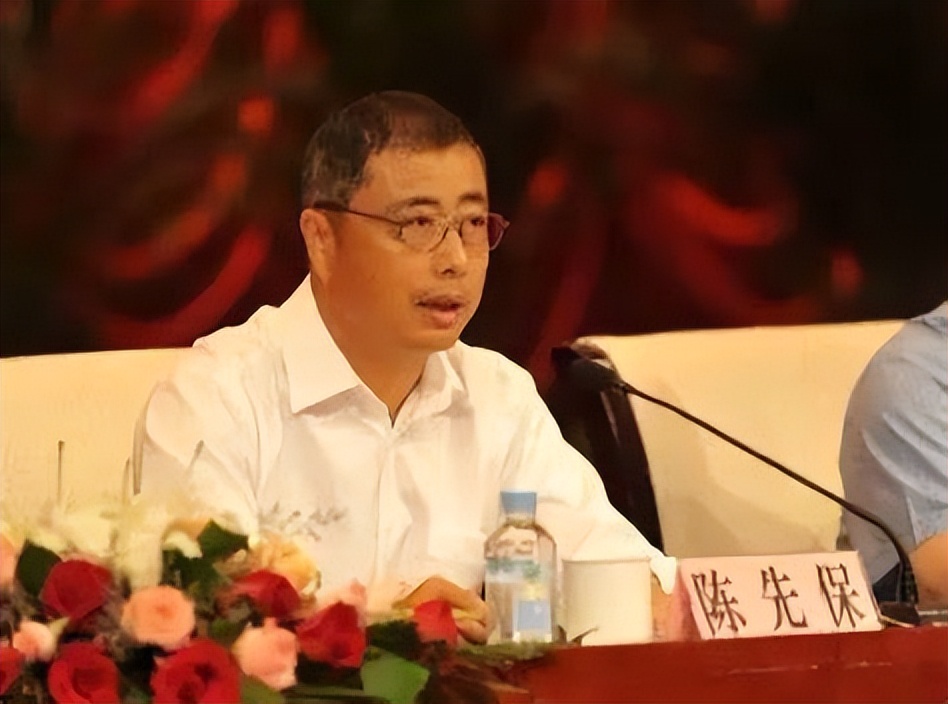 洽洽瓜子陈先保身价,洽洽瓜子创始人陈保先简历