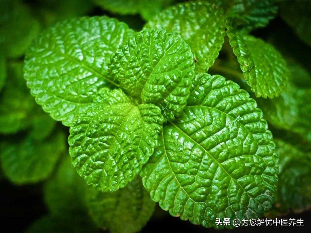 杏林钟表维修,杏林小食店