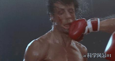 大脑软的可以在颅腔内晃动，脑震荡为什么不会在啄木鸟身上发生？