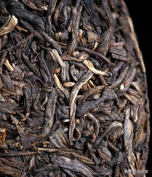 探茶源,临沧最顶级的普洱茶产区