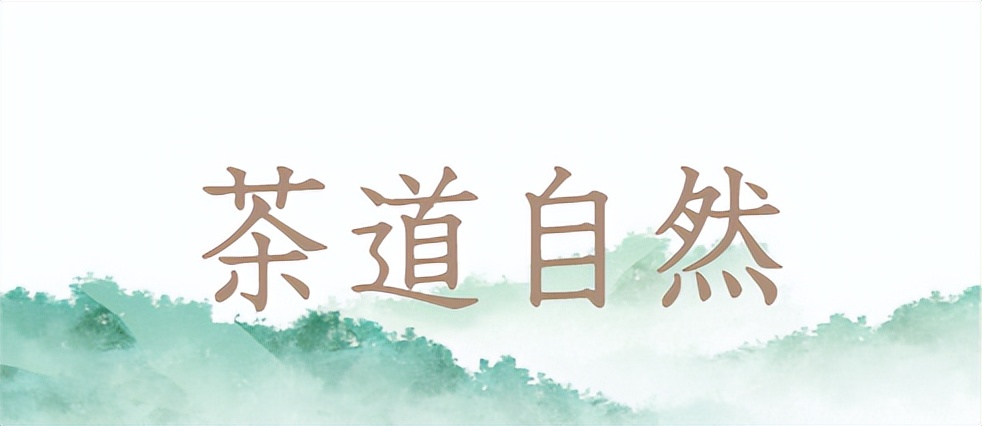 溧阳市天目湖绿溪茶场白茶,天目湖环湖茶场白茶