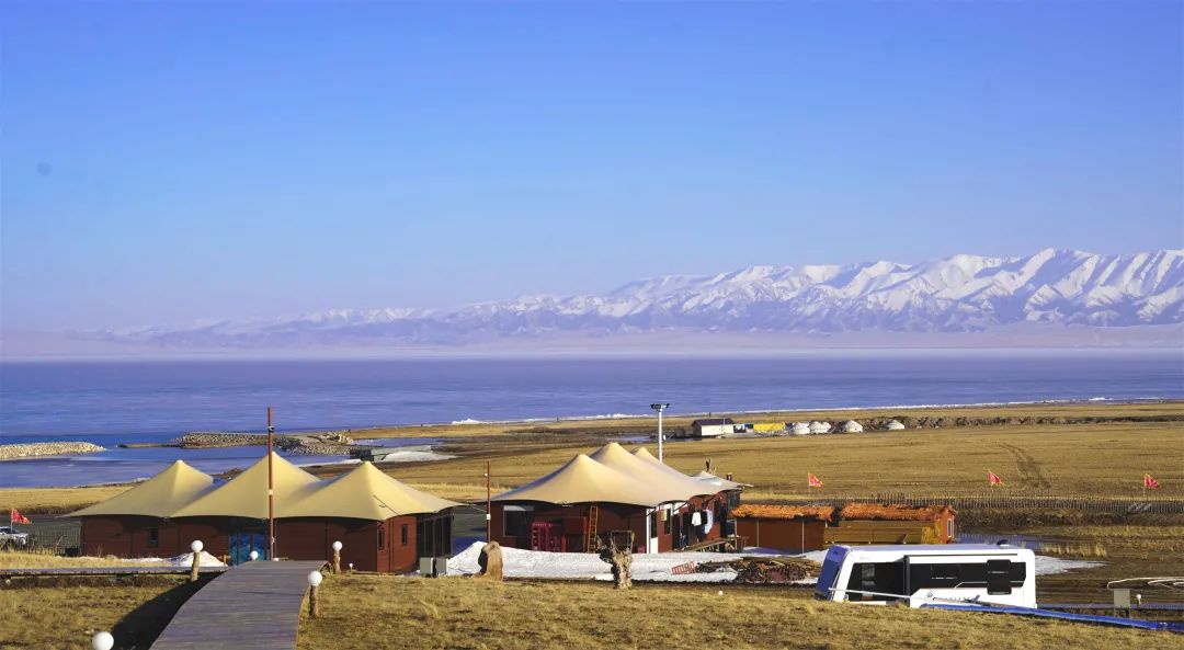 四月新疆伊犁草原,新疆伊犁野杏花最美人间四月天