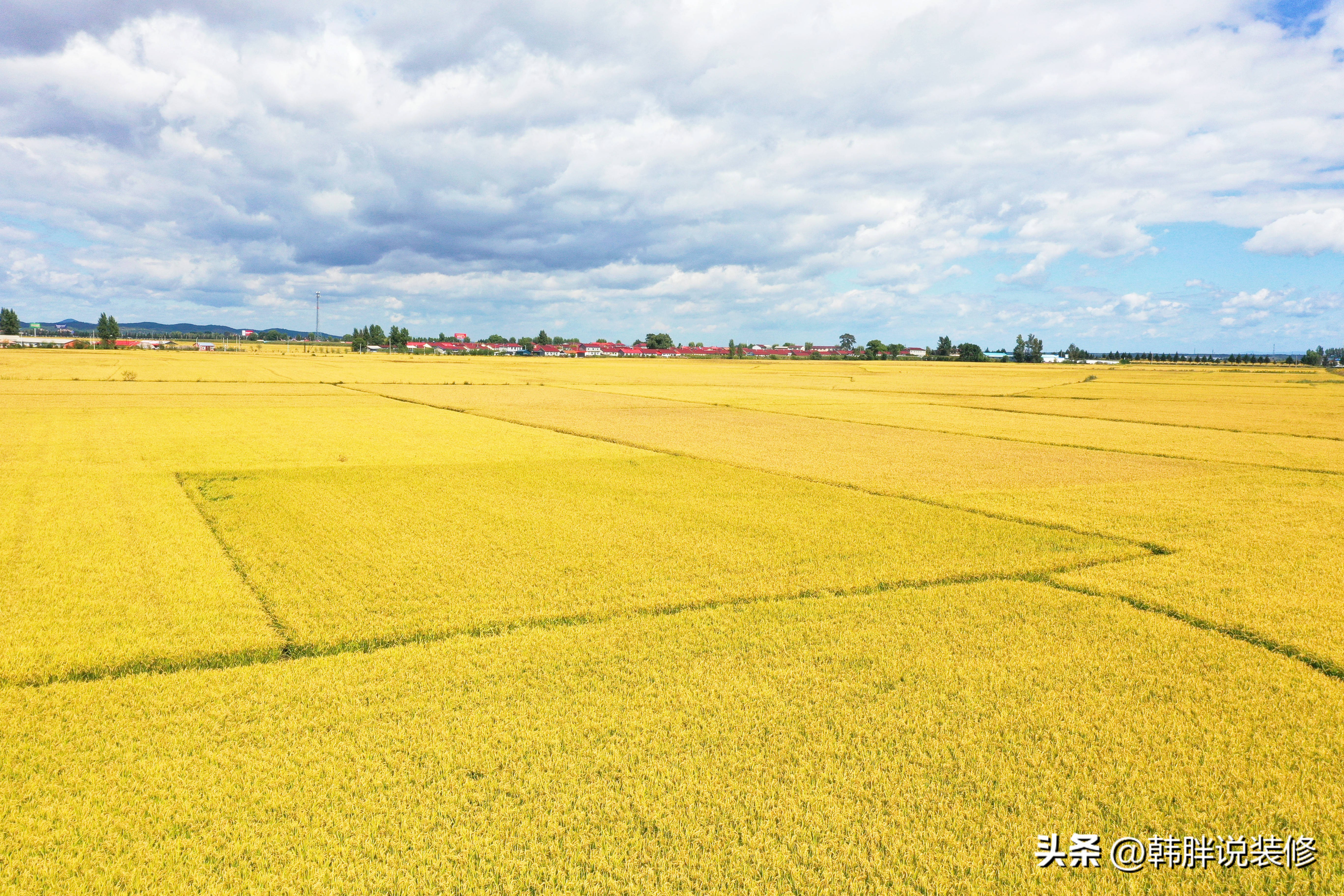 俗话说“会生，生8月；会死，死腊月”，啥意思？古人的智慧之谈