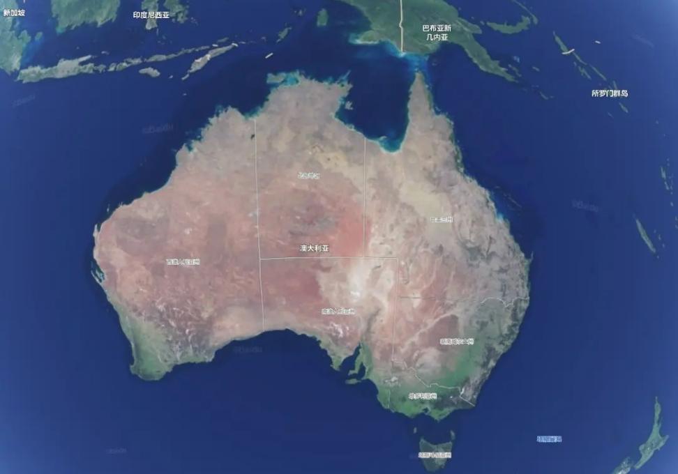 你见过1m长的巨型蜈蚣吗,一只巨型蜈蚣有多大