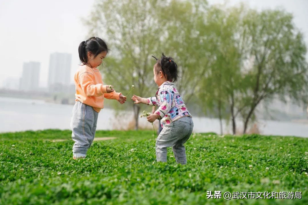 又美丽又好玩的地方,又美又惬意的旅游