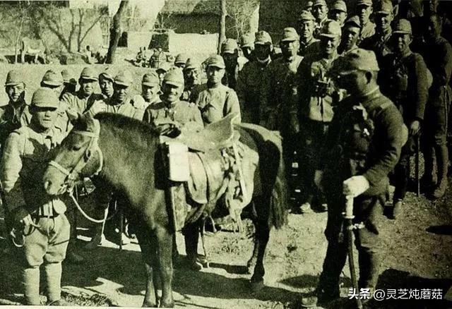 侵华日军杀人罪行大全,影像揭日寇滔天罪行