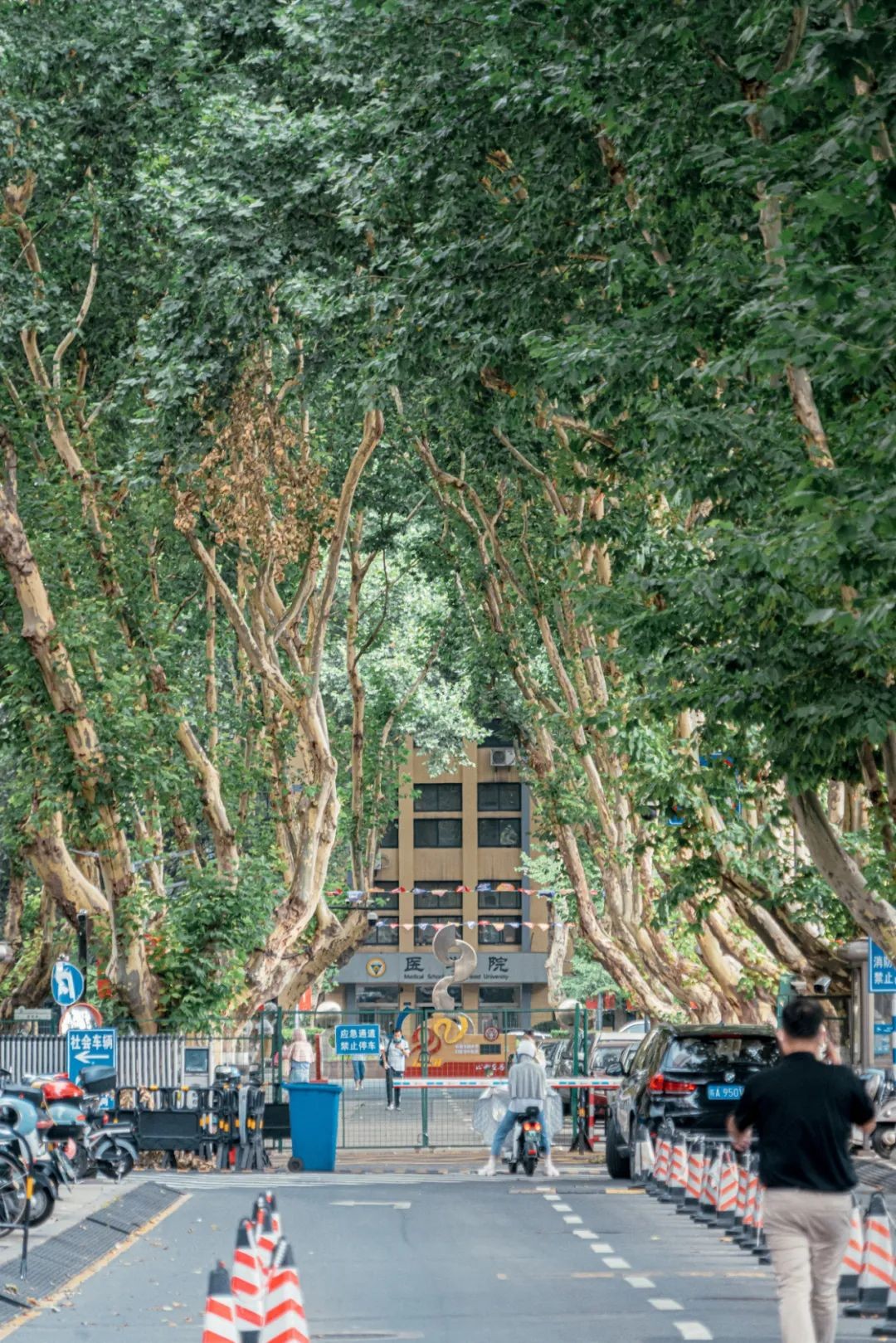 中国最牛大学东南大学,全球顶尖前10万名科学家江苏大学