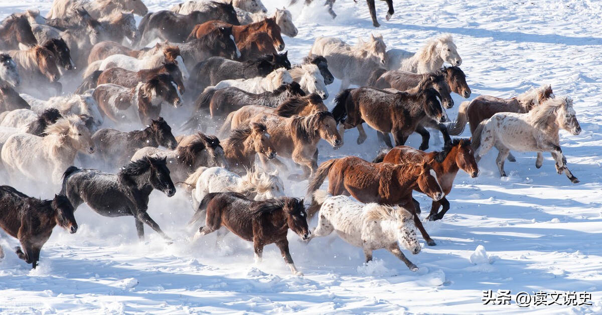 李贺最经典咏马诗,诗鬼李贺的写马诗