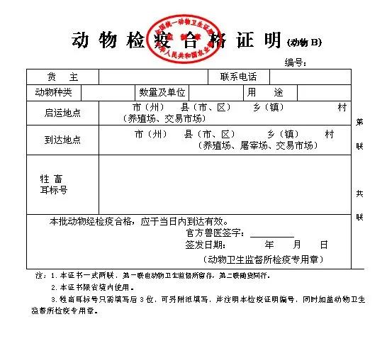 狗狗要办健康证,狗狗火车检疫证明怎么办理