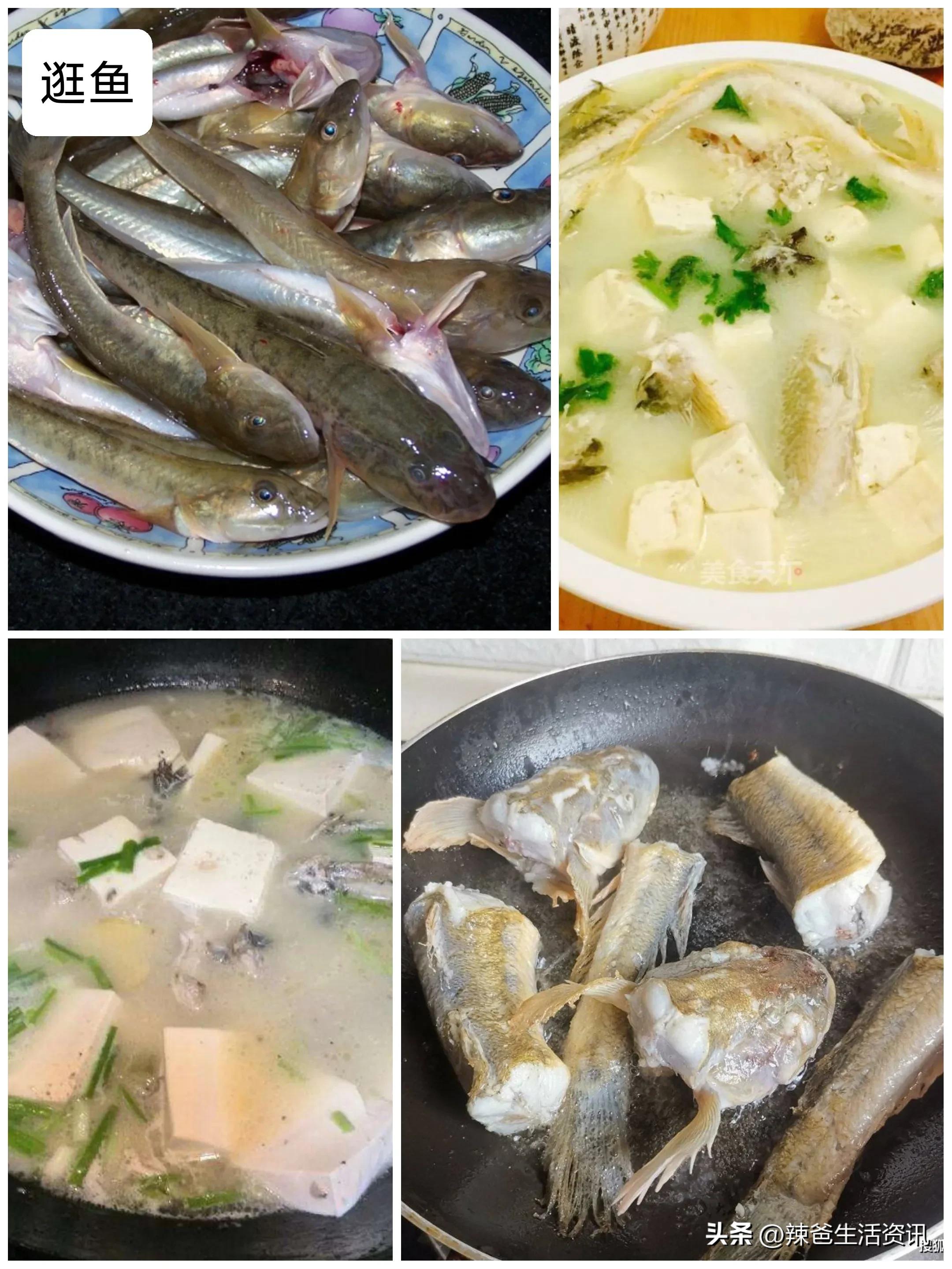 30种最常吃的海鱼做法,家常有哪些海鱼最好吃