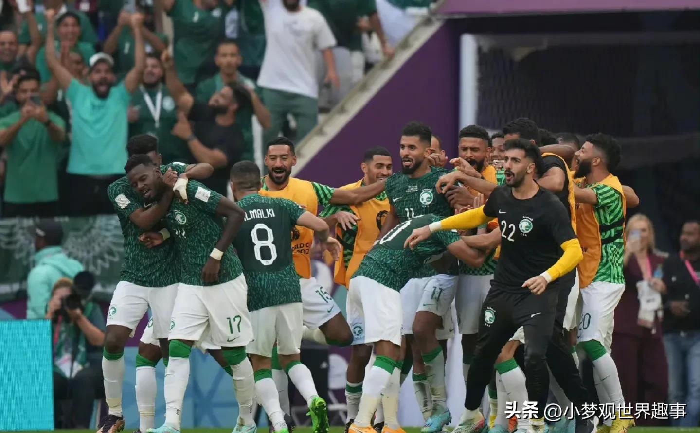 沙赫拉尼鼻骨骨折,沙赫拉尼头骨骨折x光