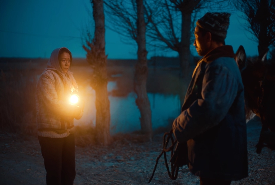 《隐入尘烟》被下架大可不必，其实可以正视研究改进它