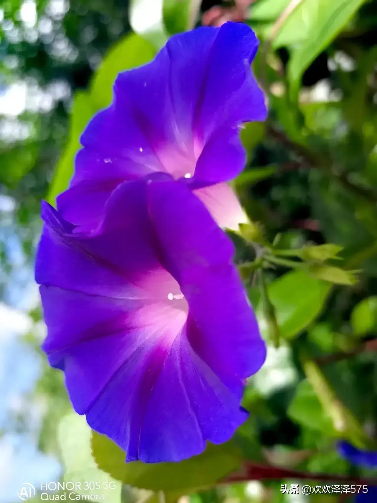 和谁都不想联系,和谁都不想交心