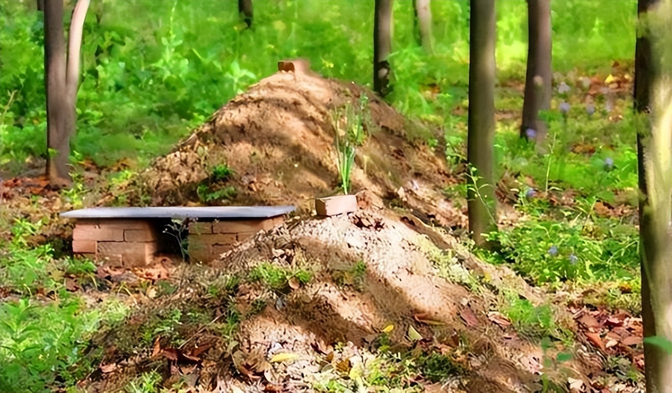 坟上有洞晚辈受穷,坟上有洞子孙穷