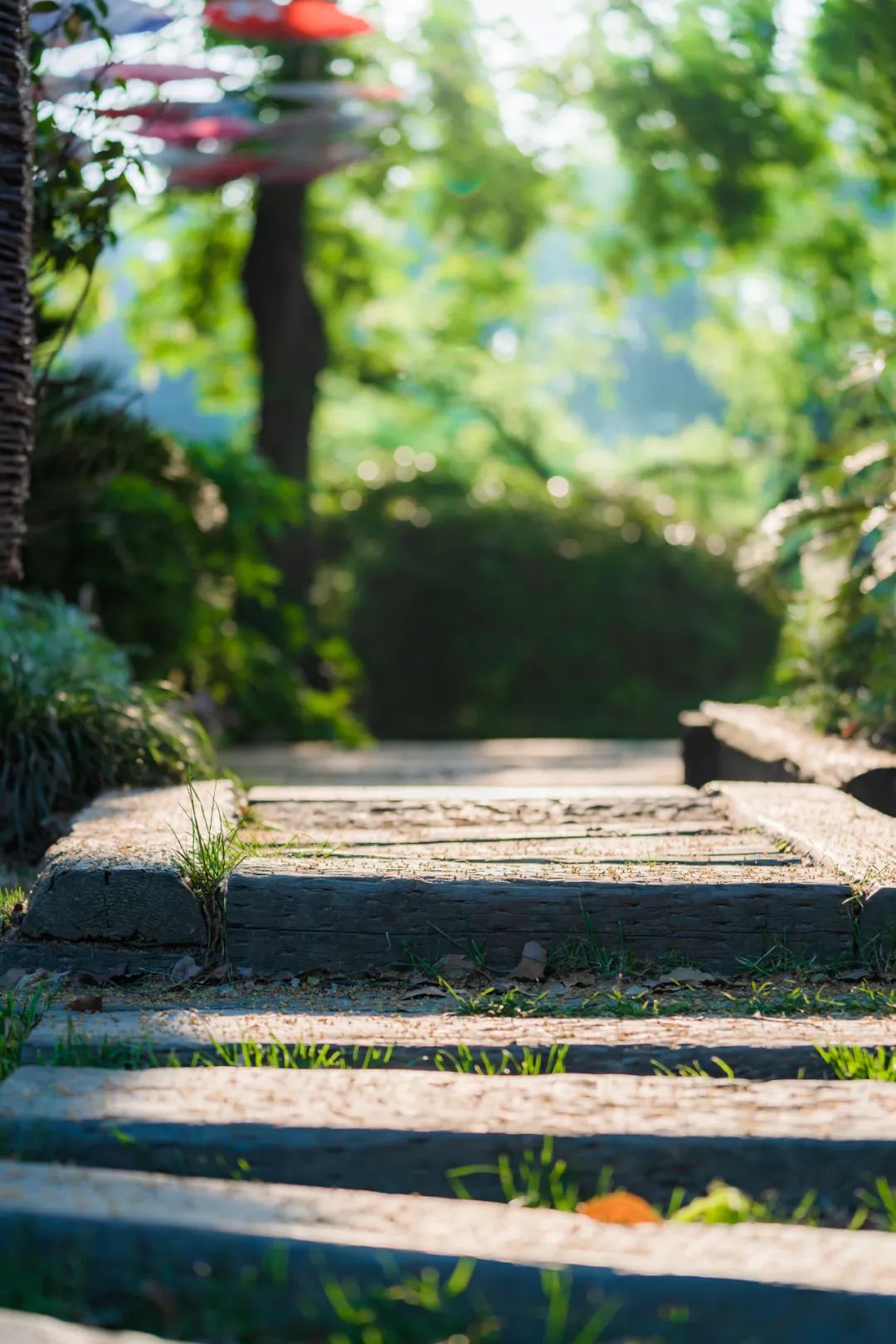 描写踏青看花的七绝诗词,带着古诗去踏青的诗句