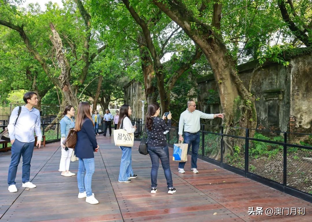 澳门文旅|邀请新、马、泰三地业界来澳考察洽商，拓展海外市场澳门甘做拼命三郎！