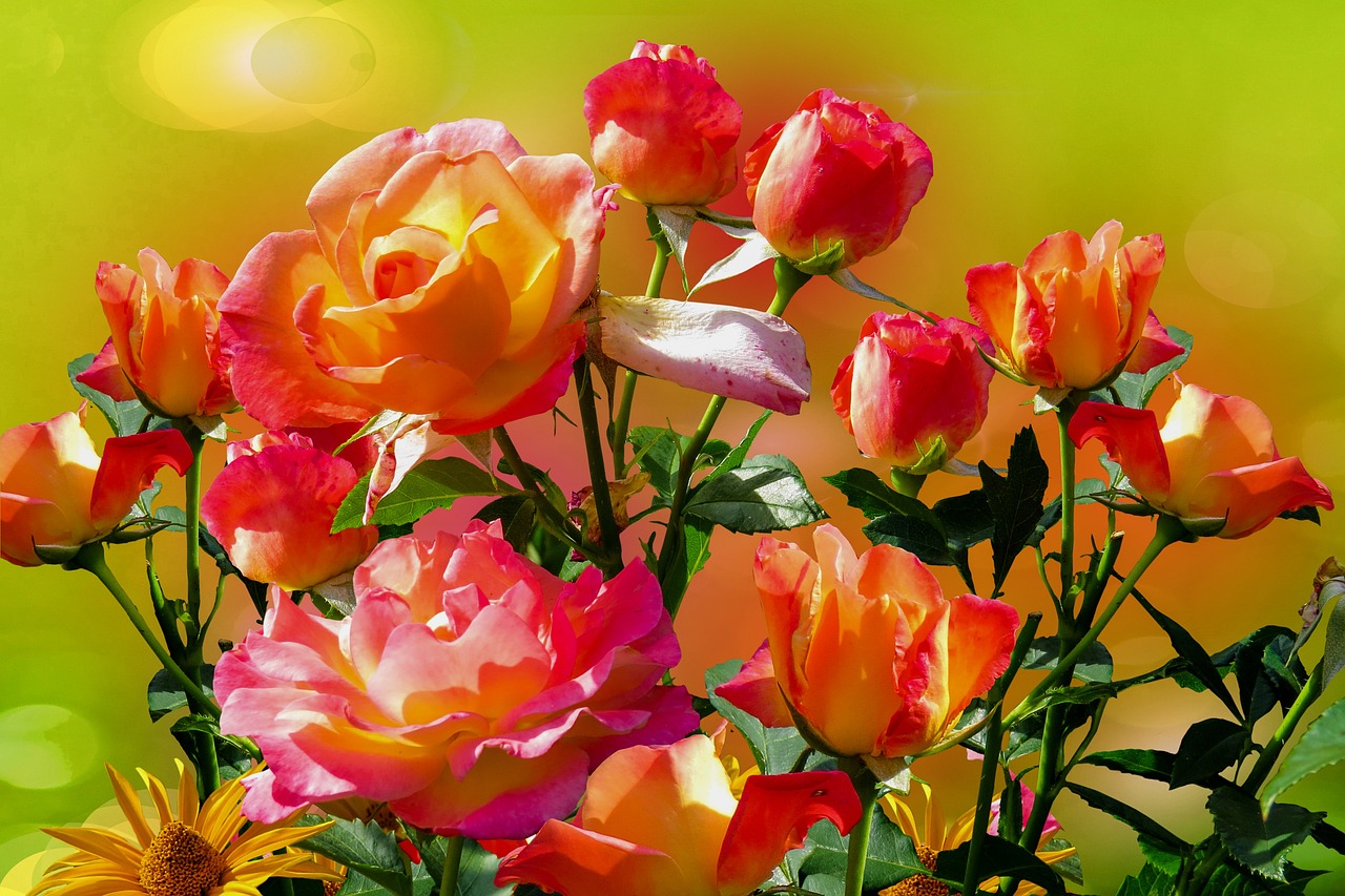 如何去试探一下男人到底爱不爱你,四个问题判断男人爱不爱你