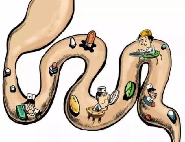 最近常放屁是不是和肝部囊肿有关,老是放屁大便次数多和肝有关系吗