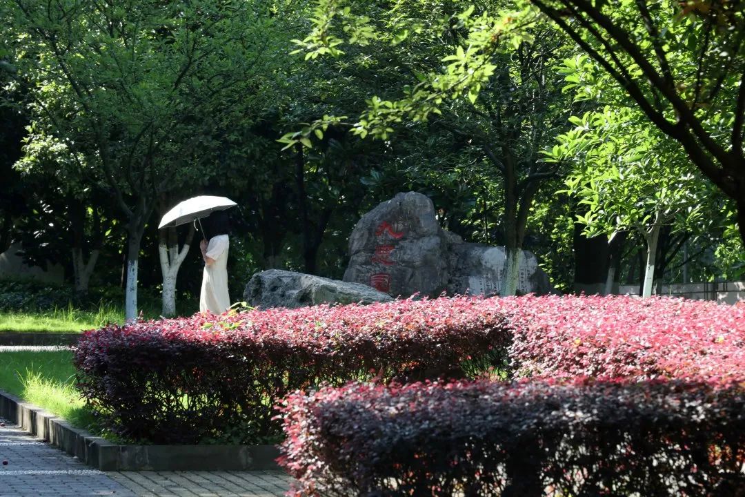 长江师范和重庆二师哪个好,长江师范与重庆第二师范