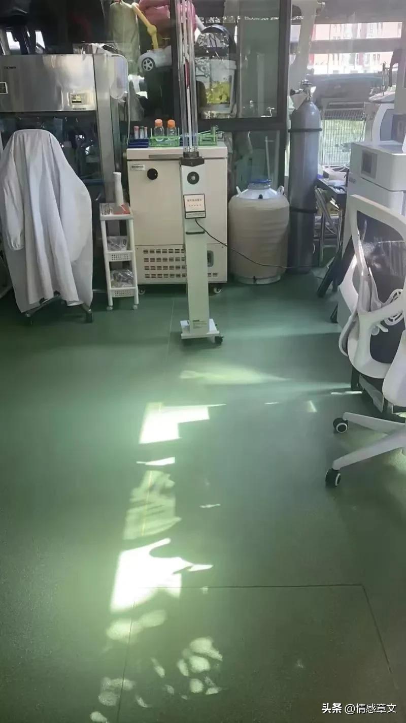 涓轰簡鏁戝瀛愭瘝浜插幓璐╂瘨,涓烘晳鍎垮瓙姣嶄翰璐╂瘨