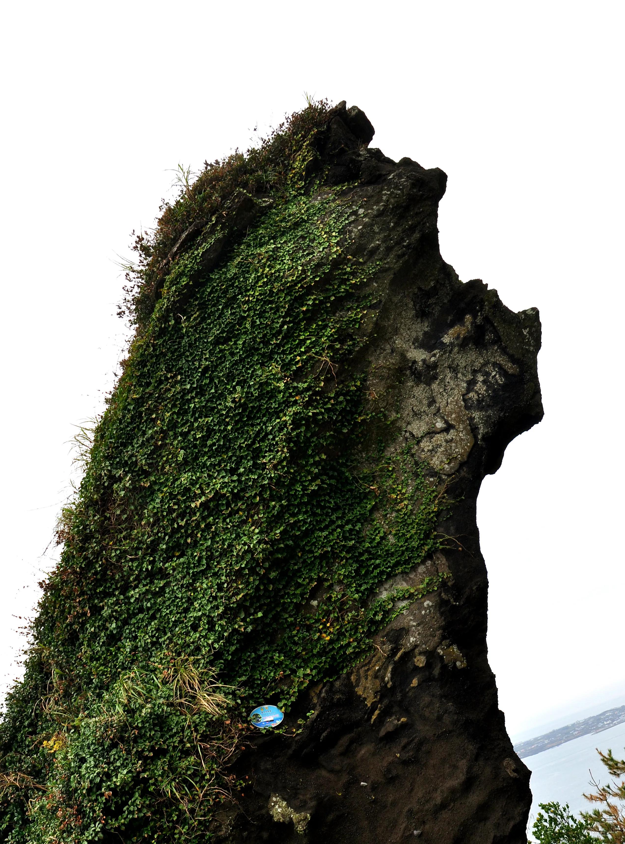 韩国游记,韩国首尔游记