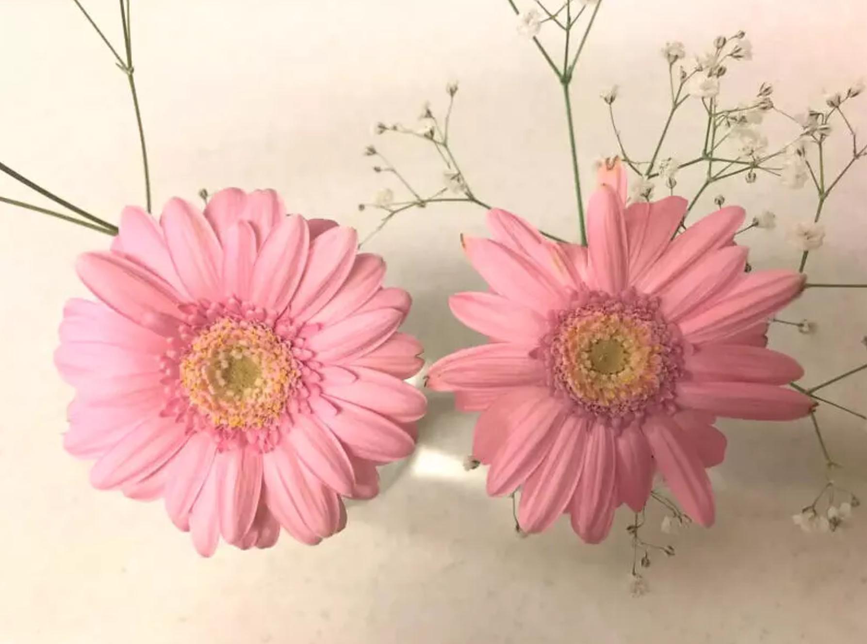 怎样让买回来的鲜花盛开,怎样让买来的鲜花不枯萎