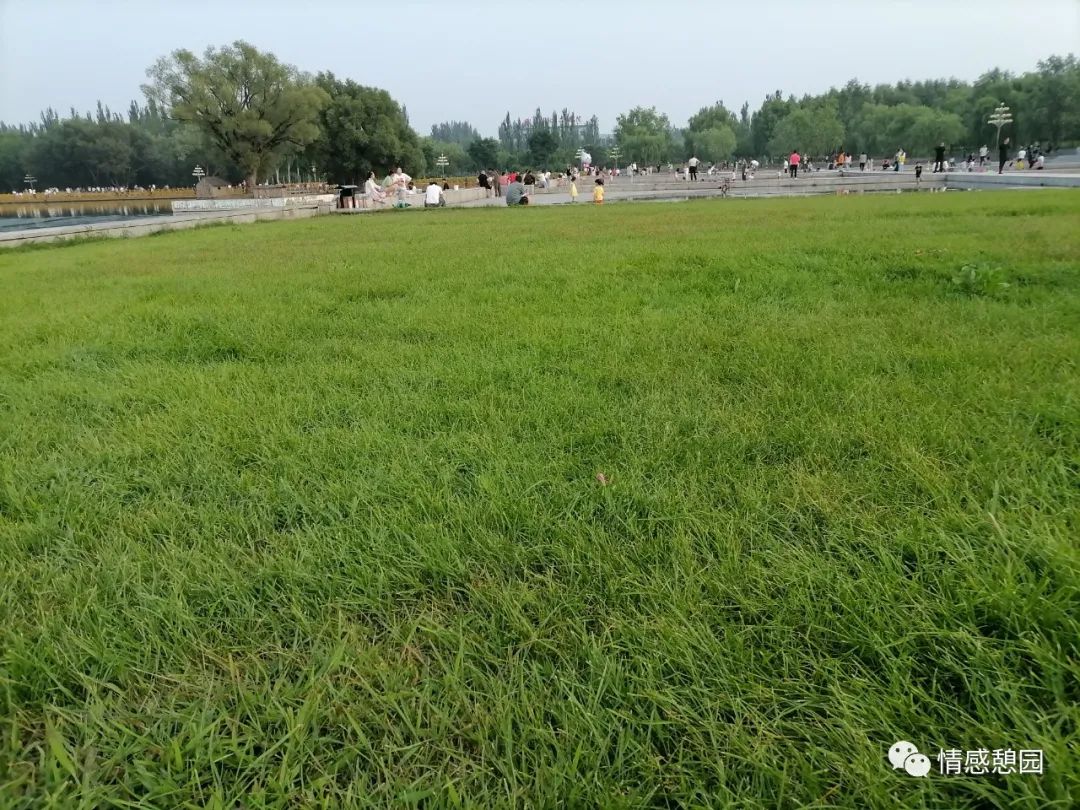 一段路一段情的唯美句子,一段路一段缘