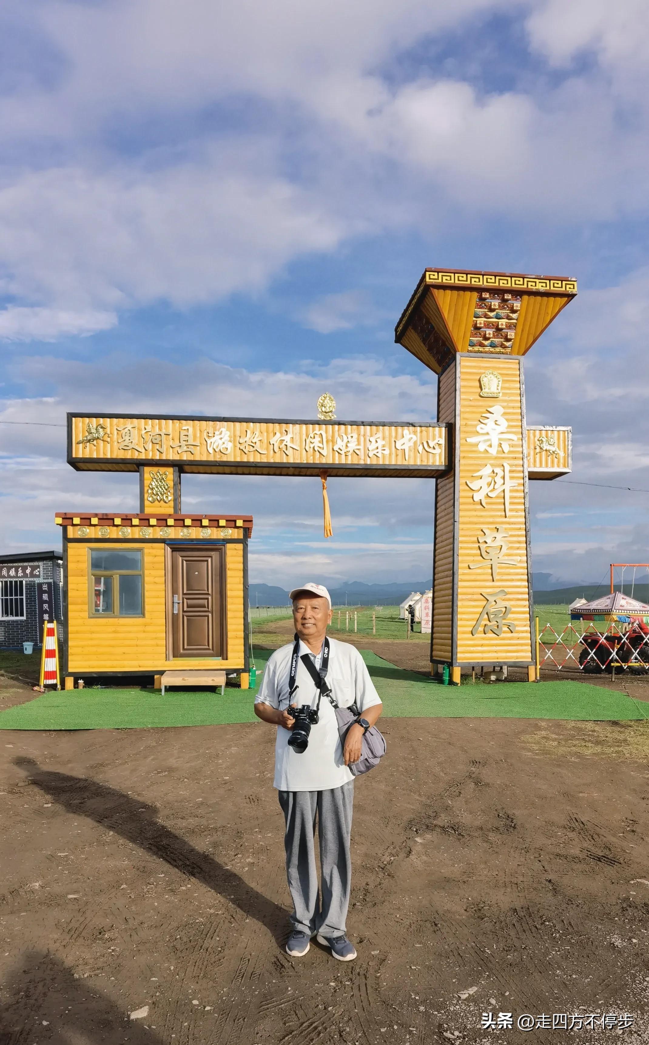 甘南自驾游桑科草原下一站,甘南桑科草原高清精美视频