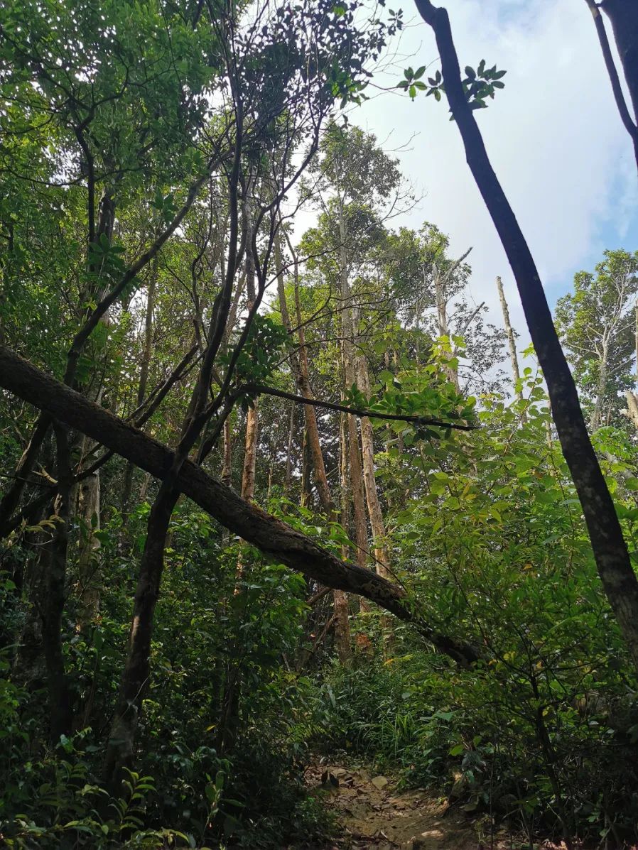 广州从化第一峰天堂顶,广州第一峰从化