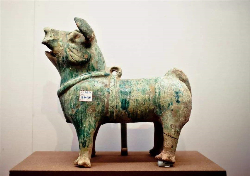 十年以上的土狗能卖多少钱,农村收的土狗卖去哪里了