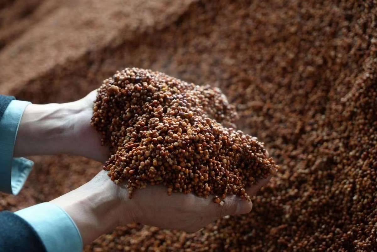 拼多多上的白酒为什么这么便宜,拼多多桶装白酒为什么便宜