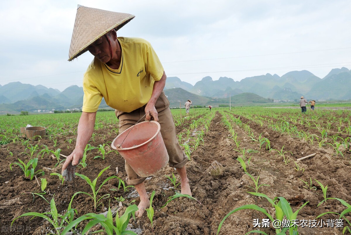 哪些肥料混用后容易“起冲突”,哪些肥料混用后能做“好朋友”?