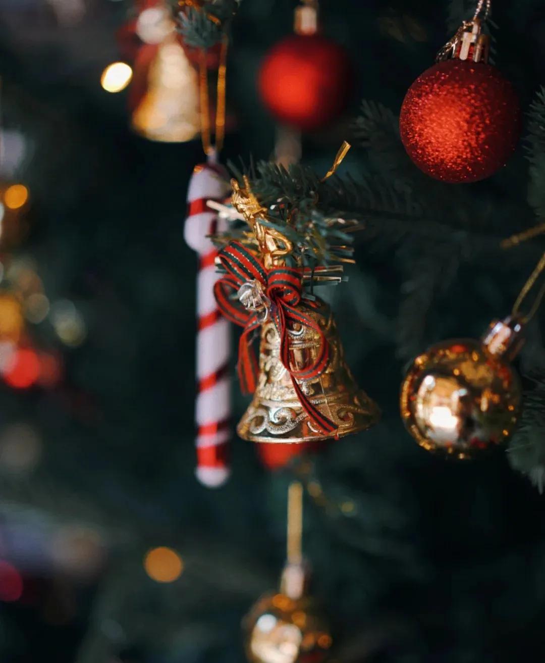 还没过圣诞节提前出来看看文案,圣诞节预告来啦文案