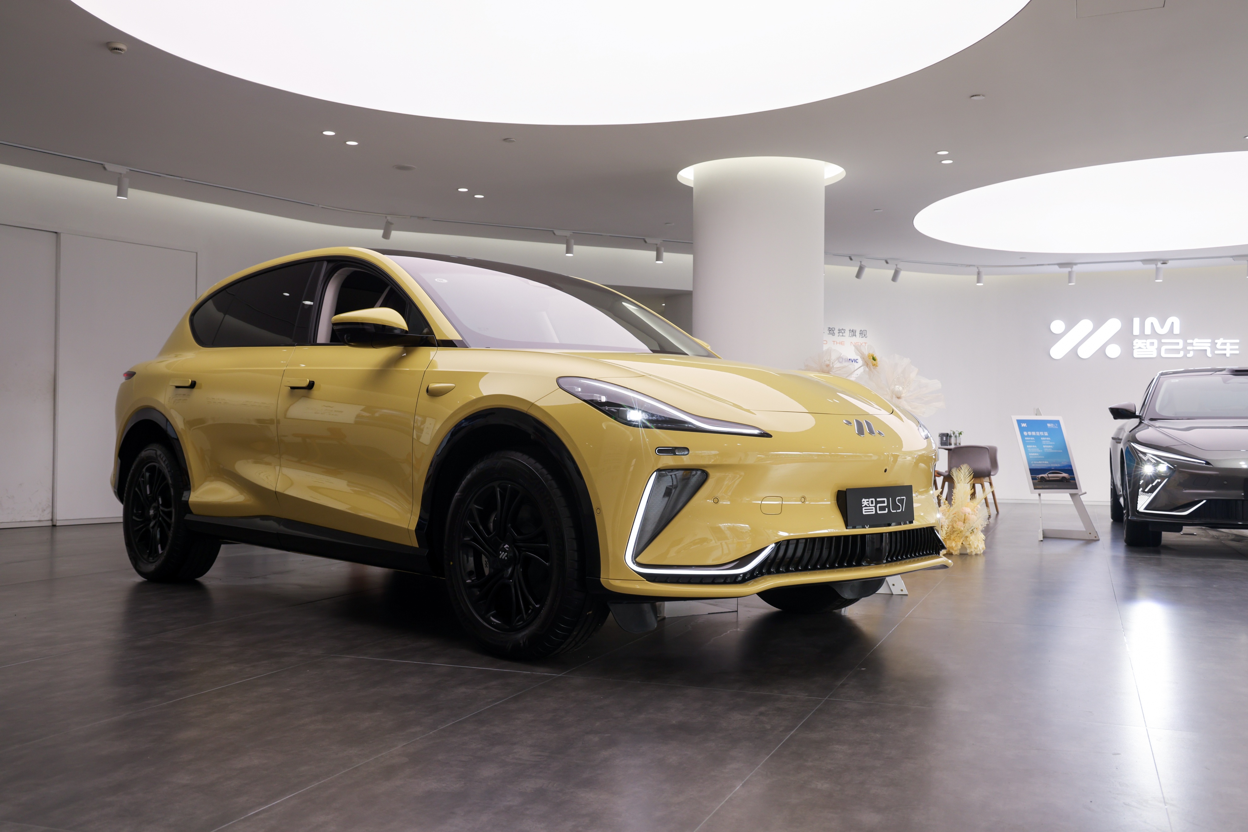 智己ls7和特斯拉modely怎么选,20万买智能suv