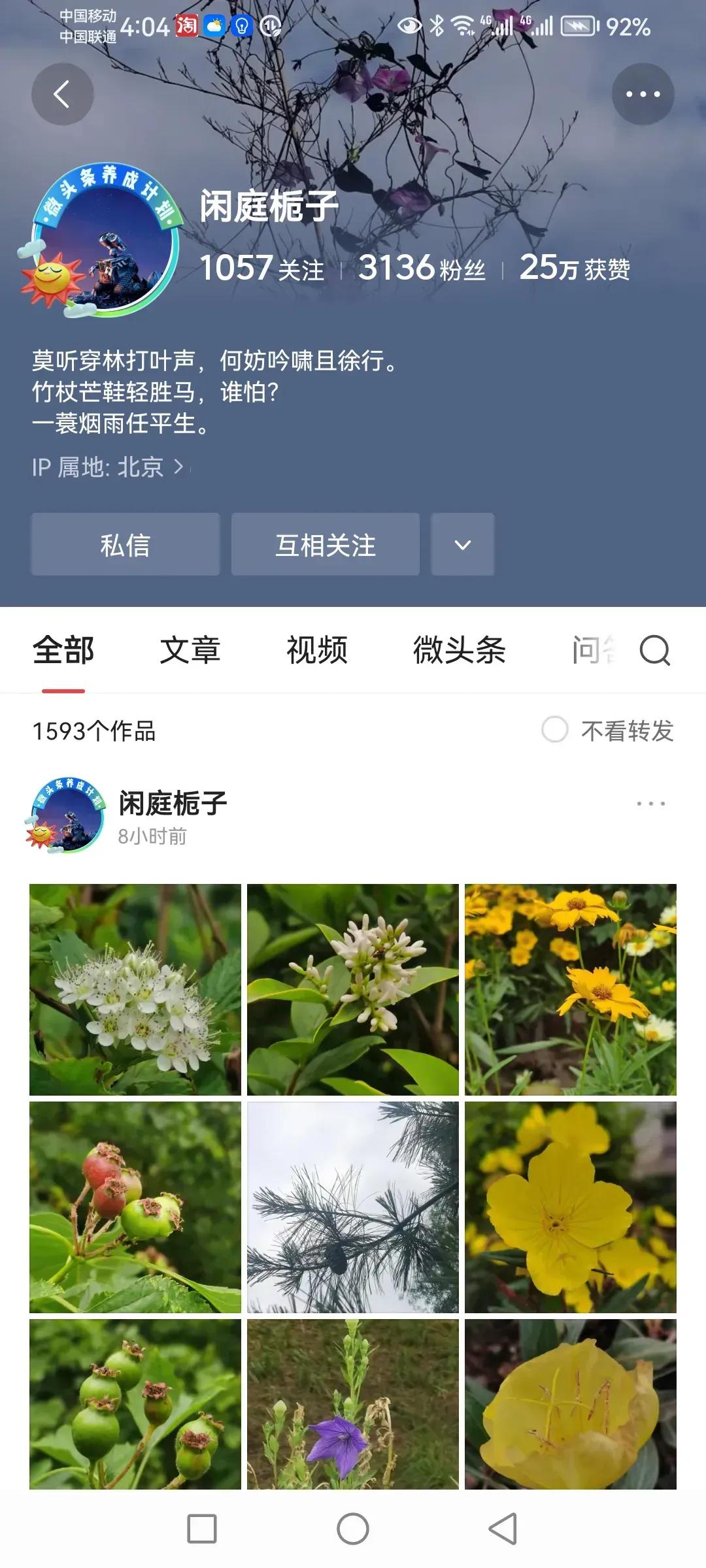 感谢头条铁粉支持,头条铁粉是怎么显示的