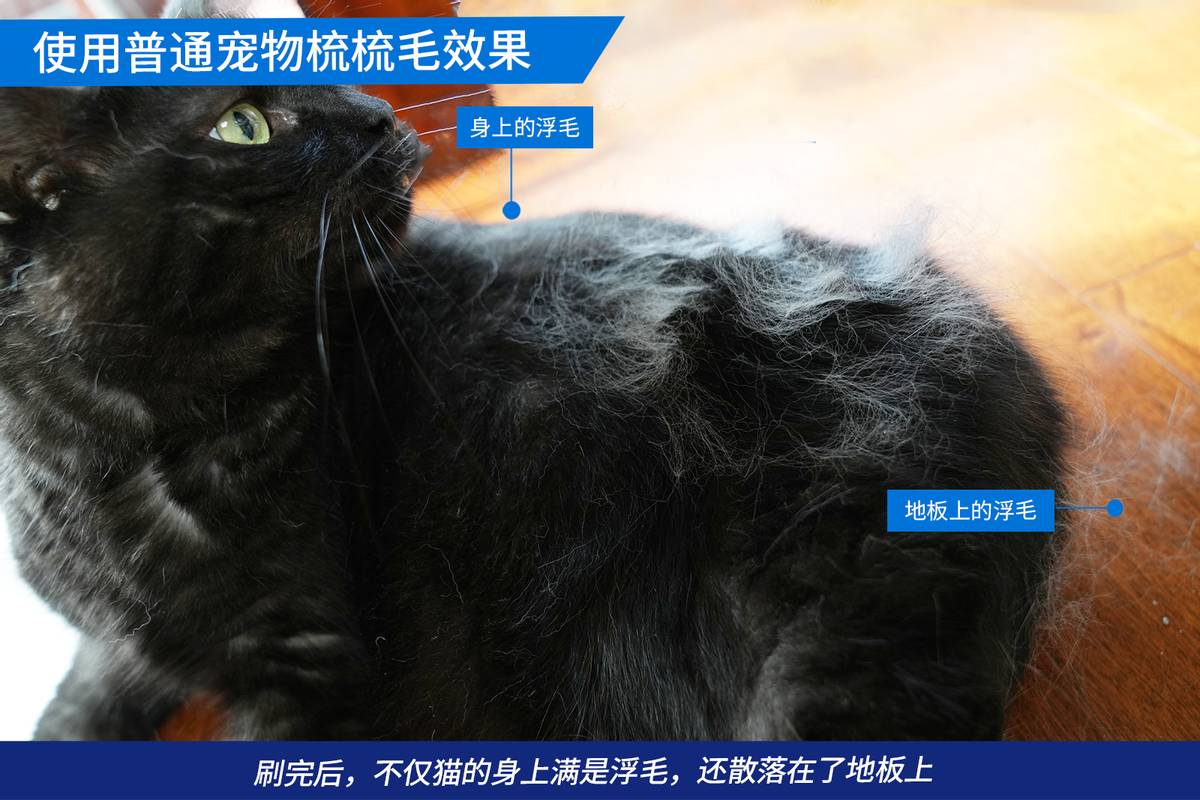 戴森吸猫毛神器,戴森宠物毛发清洁套装