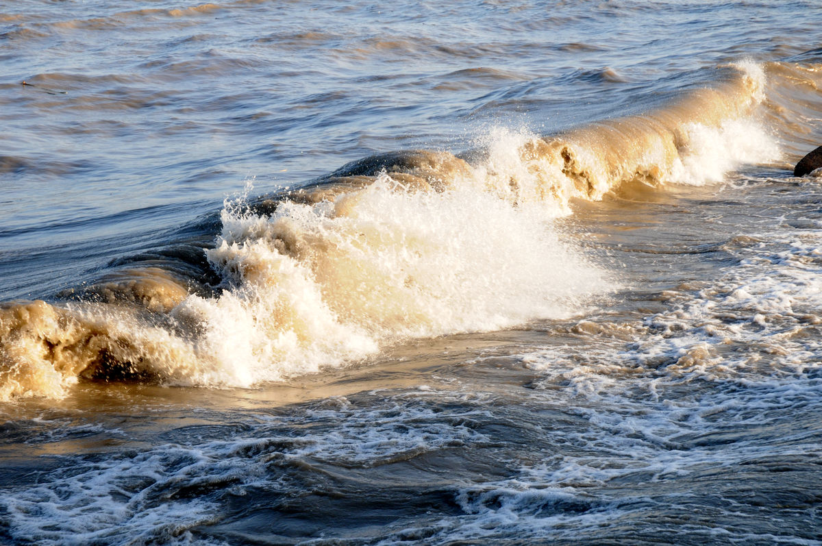唐诗经典100首必背,240首必背唐诗