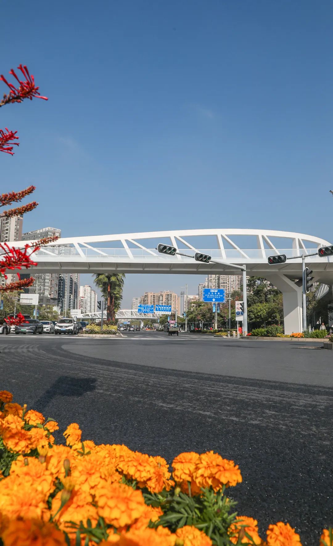 深圳宝安区两日游,深圳宝安区一日游推荐自由行