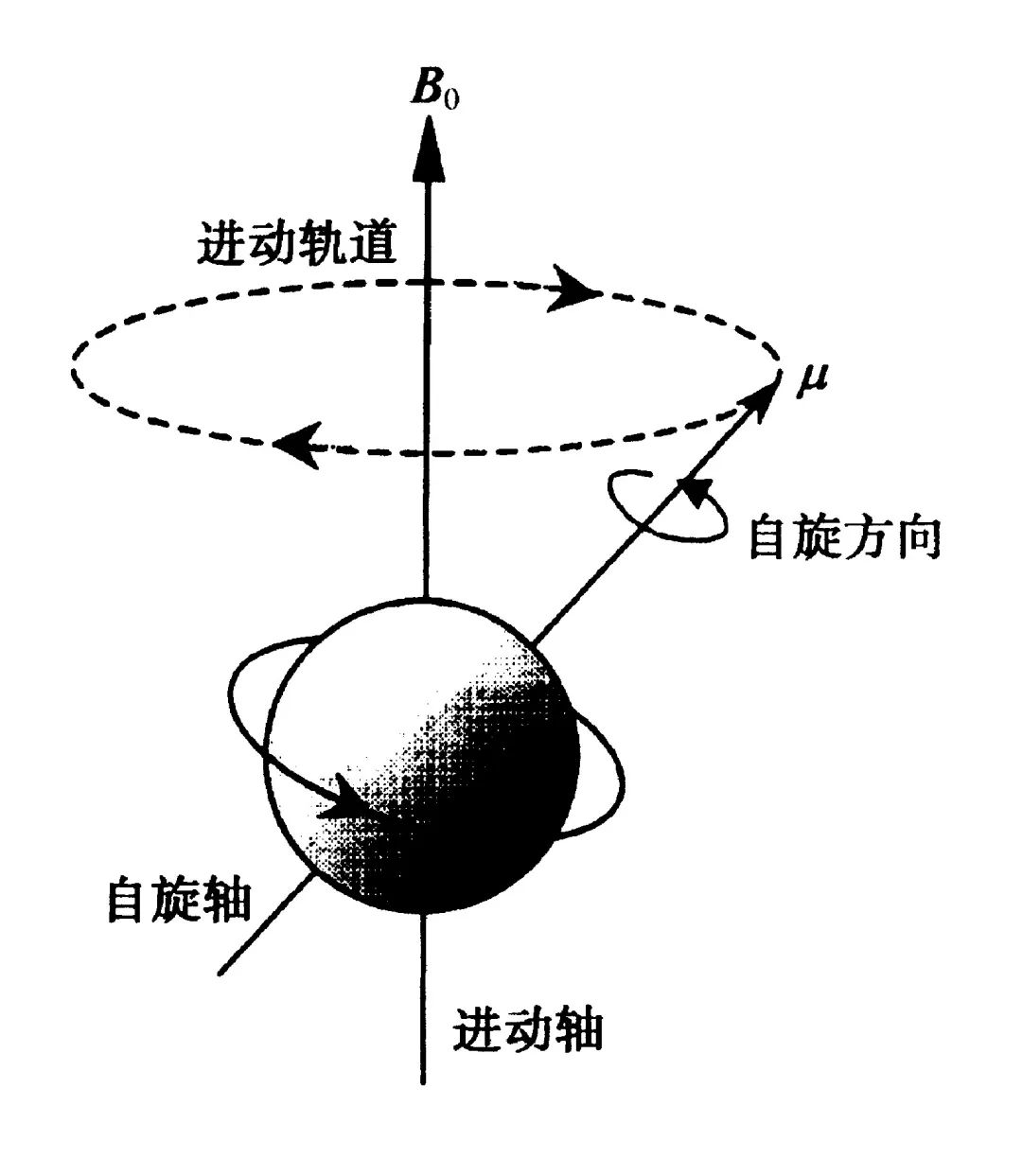 新型原子磁强计：脑磁测量技术的创新与突破丨贝研报02