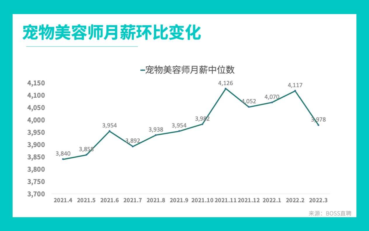 千亿市场、月薪过万,宠物美容是个暴利的好差事?
