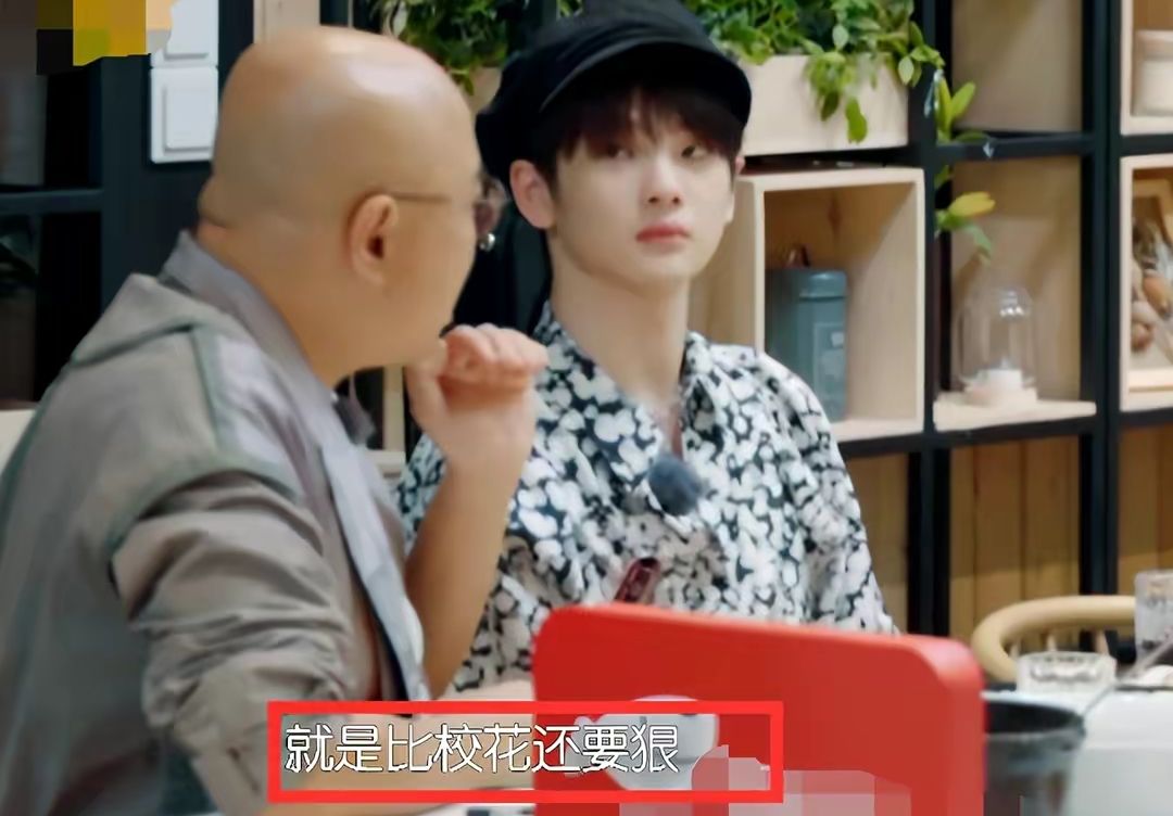 宁静李斯丹妮比拼,宁静李斯丹妮不合吗