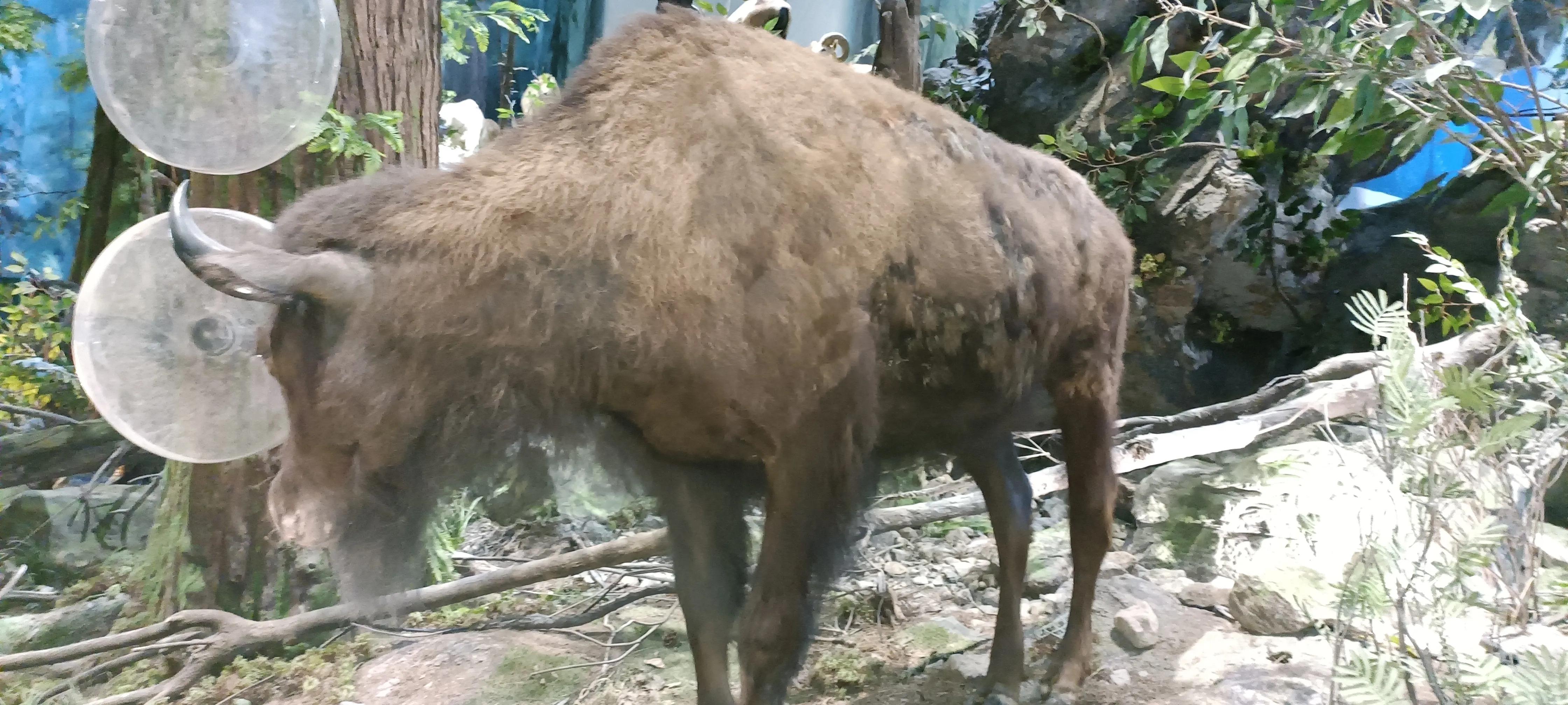 河南省科技馆新馆中标公示,河南省科技馆新馆预约门票