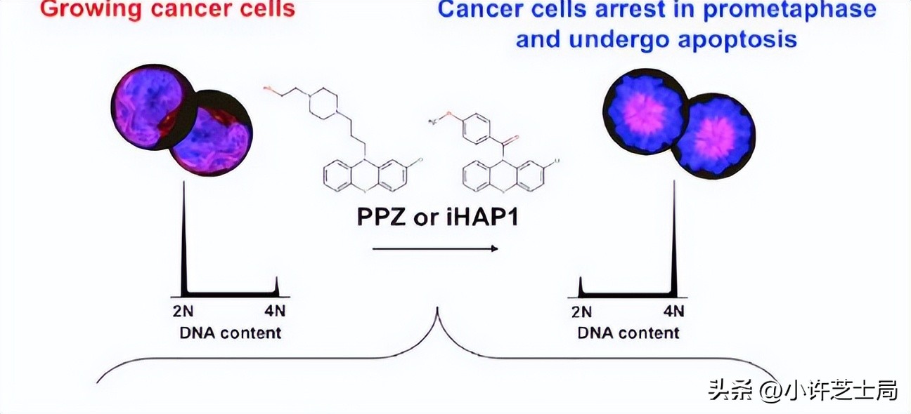戊唑醇与磷酸二氢钾混用控旺吗,戊唑醇与磷酸二氢钾一起用吗