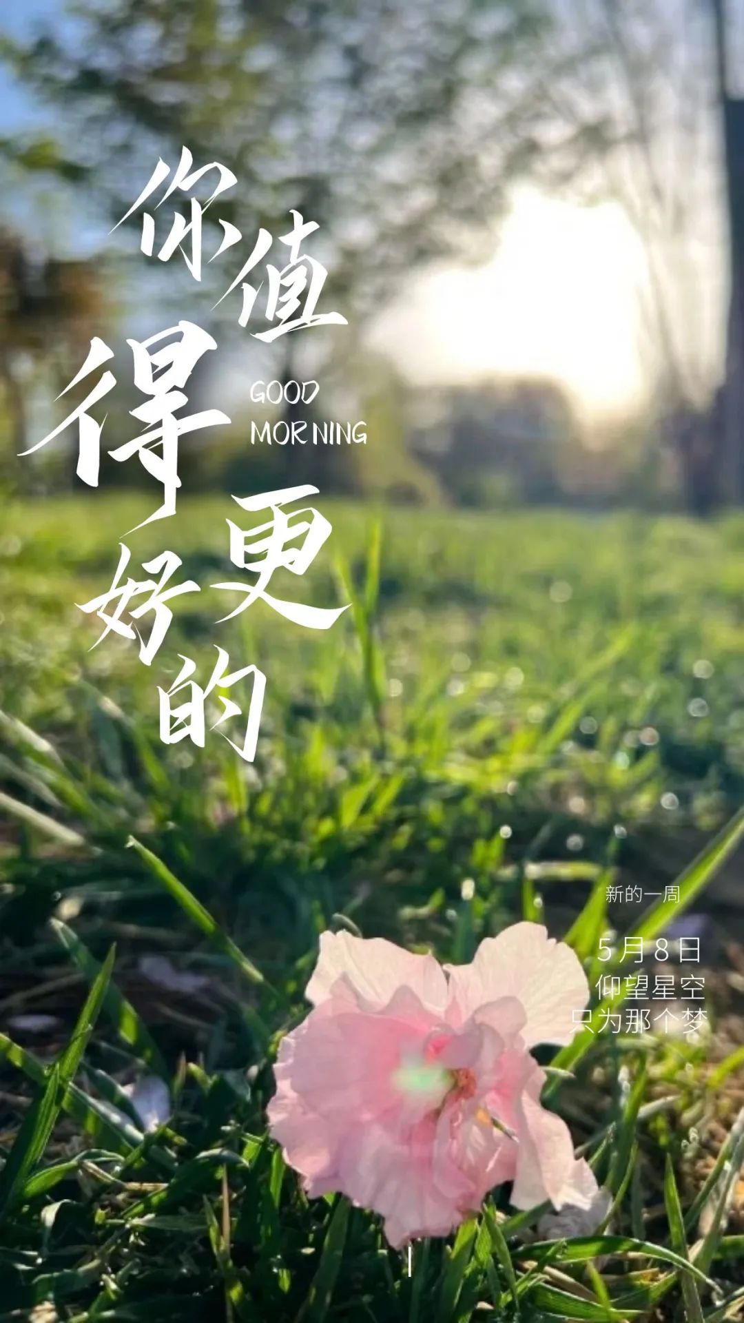 早安微笑语录经典句子,2020年经典早安心语语录锦集80条