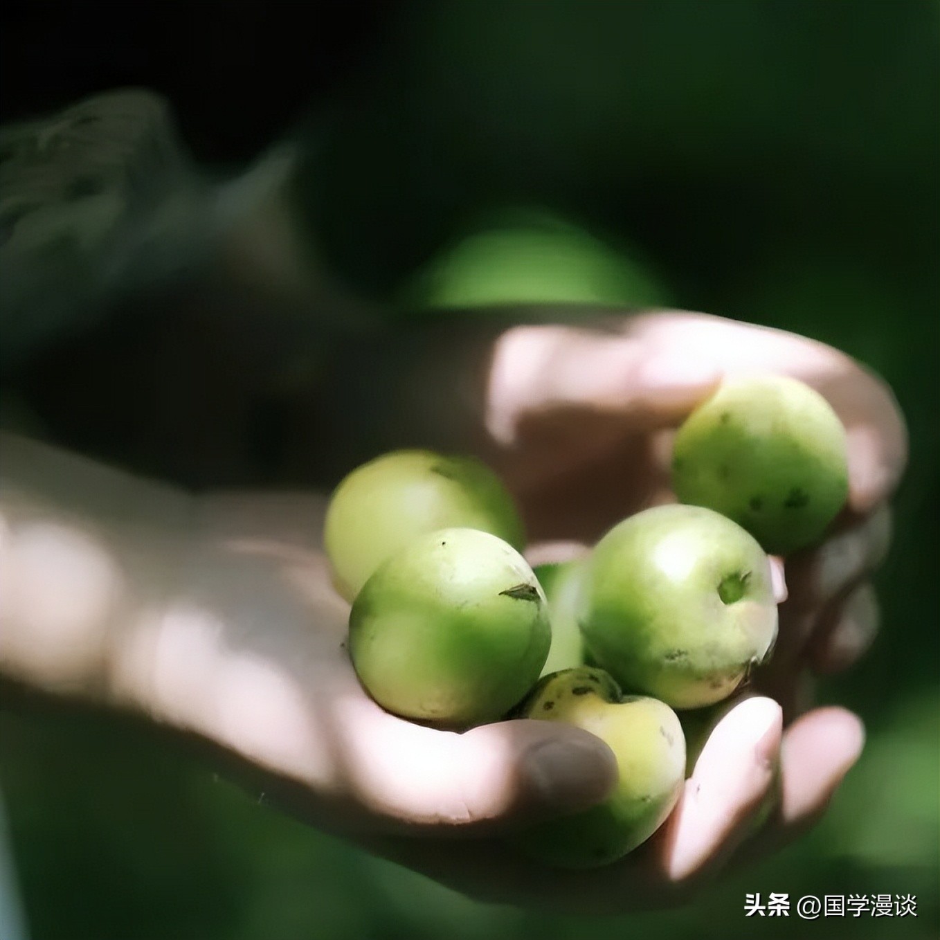 「时间」的那些雅称，美极了！