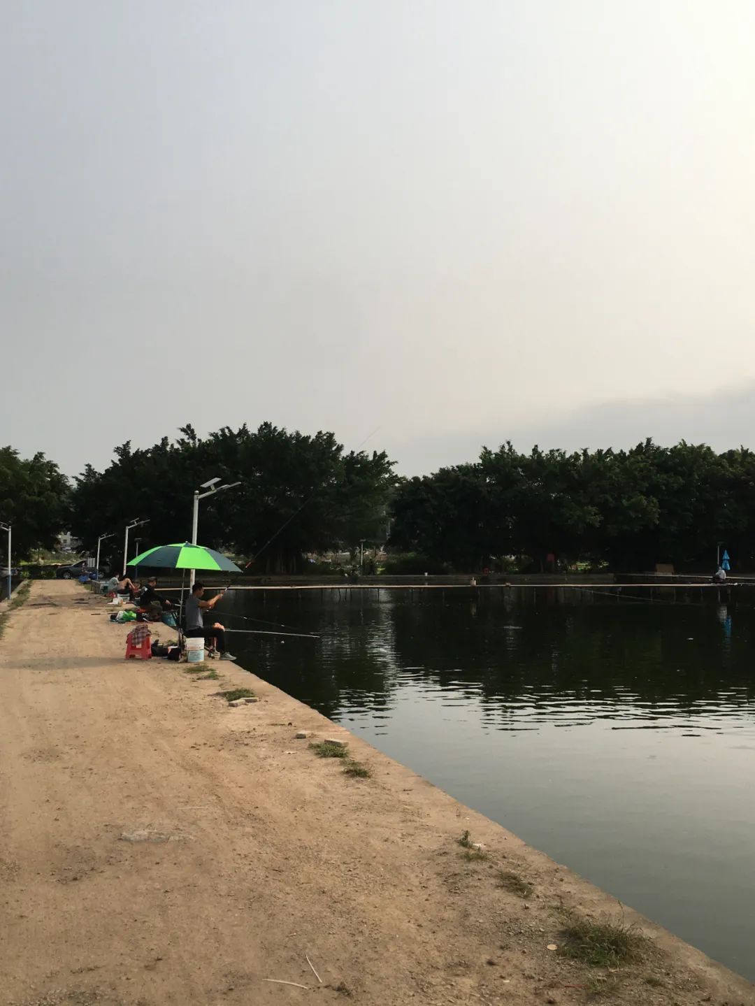 旭光车行雅迪电动车,旭光单车