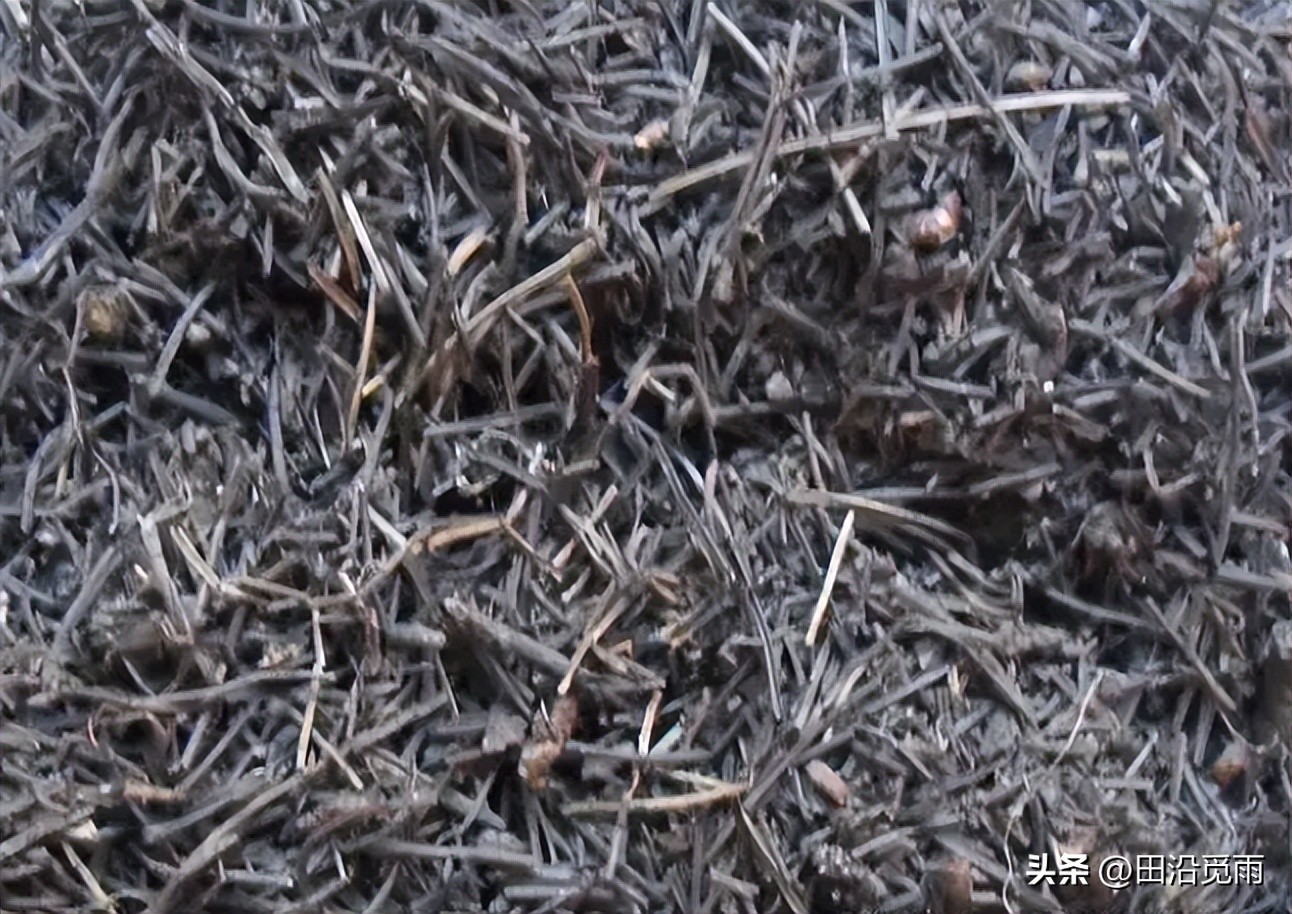 松树盆景土配制方法,黄杨盆景土配制方法